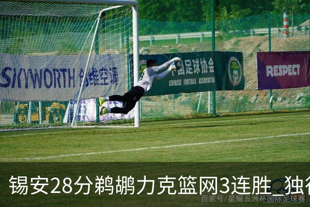 锡安28分鹈鹕力克篮网3连胜 独行侠险胜马刺